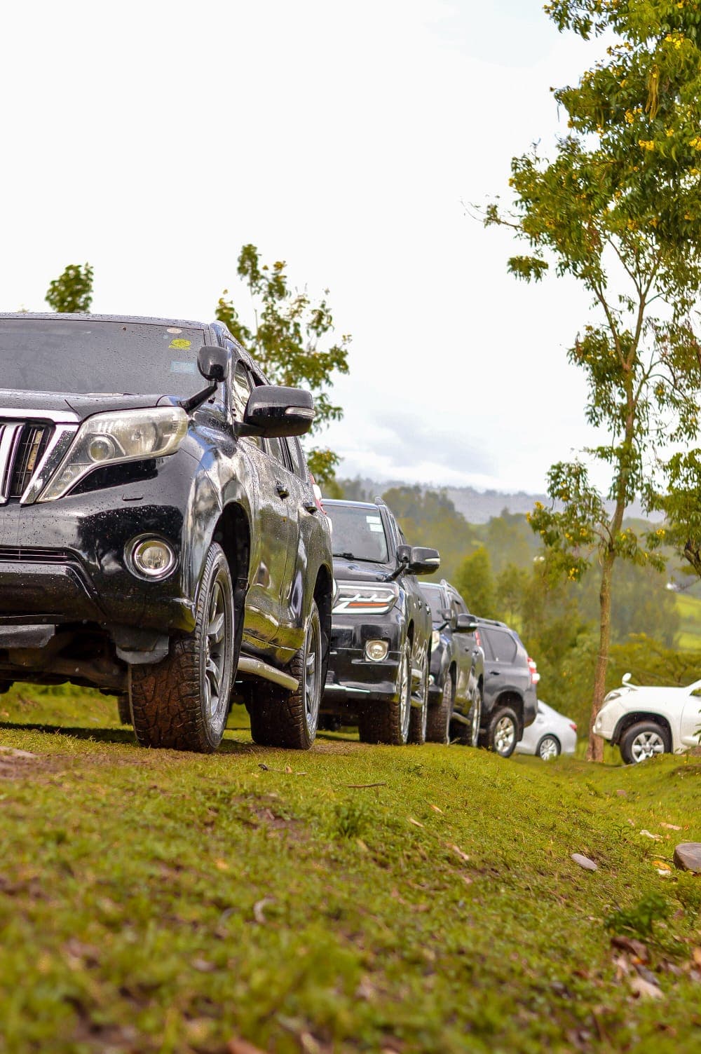 Car Rental Companies Near Me: Find the Perfect Ride in Kenya