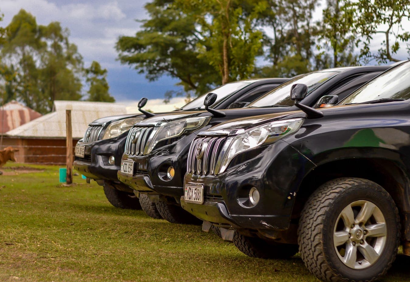 What You Need to Know Before Renting a Car in Kenya | Nanika Executive Car Hire